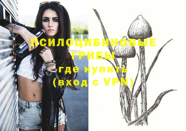mdpv Арсеньев