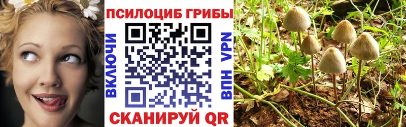 Галлюциногенные грибы MAGIC MUSHROOMS  Купить  Дмитровск 